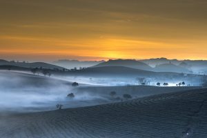 Ein Hauch von Sonnenaufgang über verbrannter Erde - das ist schon viel besser als vorher!